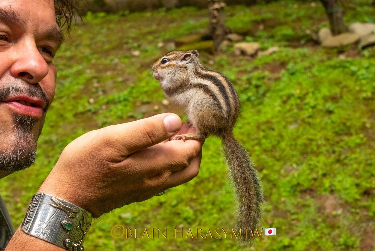 🐿️ 오호츠크 다람쥐 공원(오호츠크 시마리스 코엔)